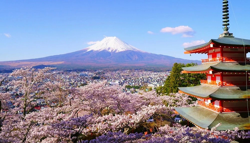 東京賞櫻六日遊｜東京櫻花名所、富士山河口湖、經典景點包車行程